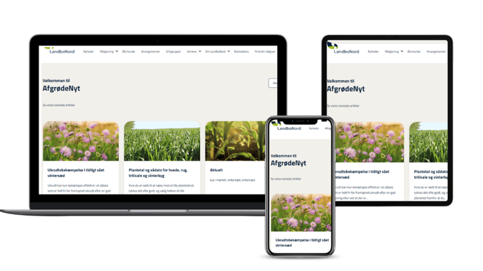 (2) HubSpot - Artikel topbillede 1146x644px (2)