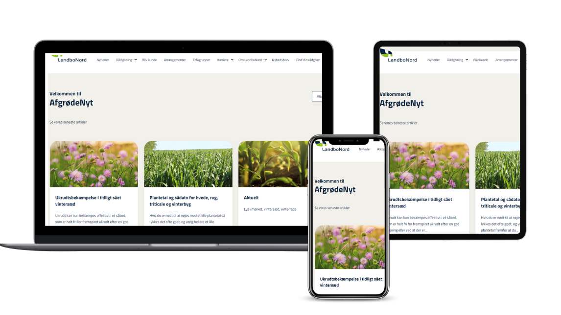 (2) HubSpot - Artikel topbillede 1146x644px (2)