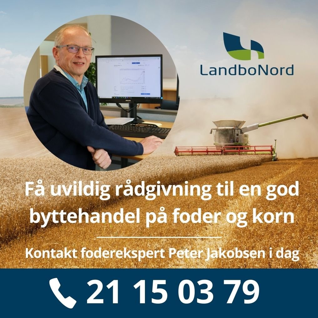 Få lavet en god byttehandel på foder og korn