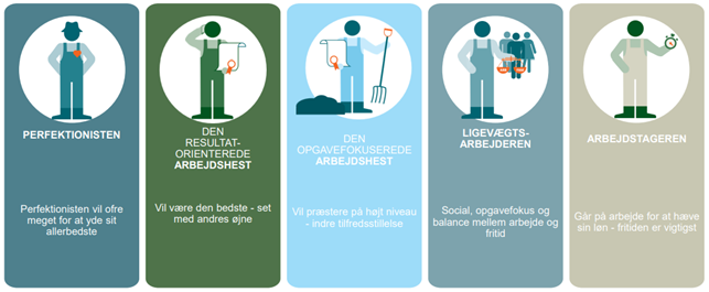 Motivationsprofiler SEGES