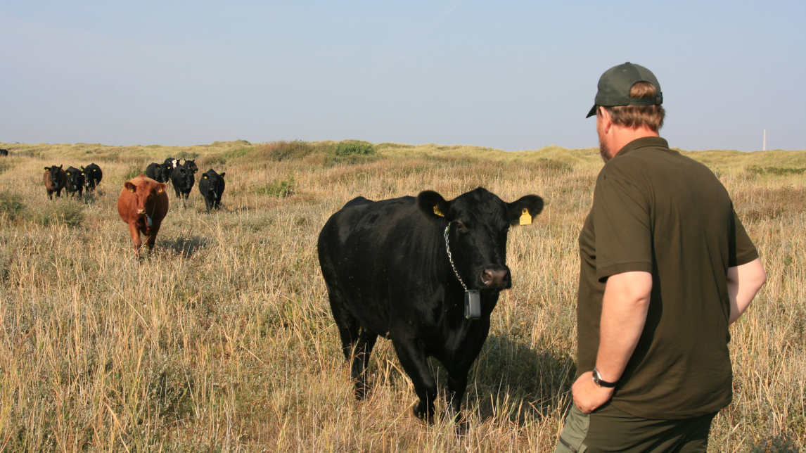 Naturpleje Fanø kød deltidsudvalg 05