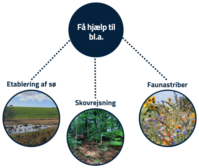200002733 NaturTjek (uge 19-20 2023) - Naturtiltag-1