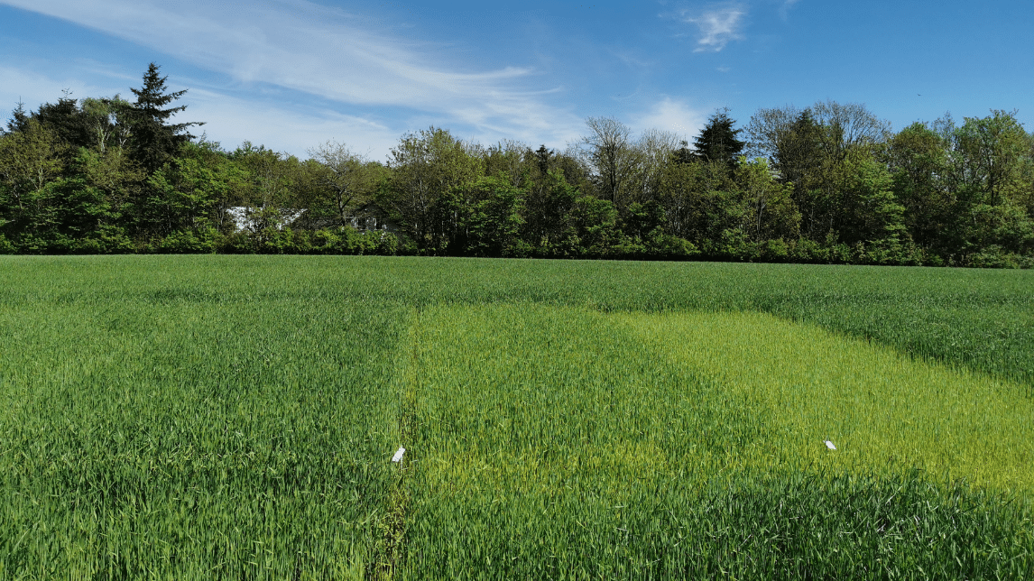 2.8.6 Mark & natur (Forsøgsarbejde)