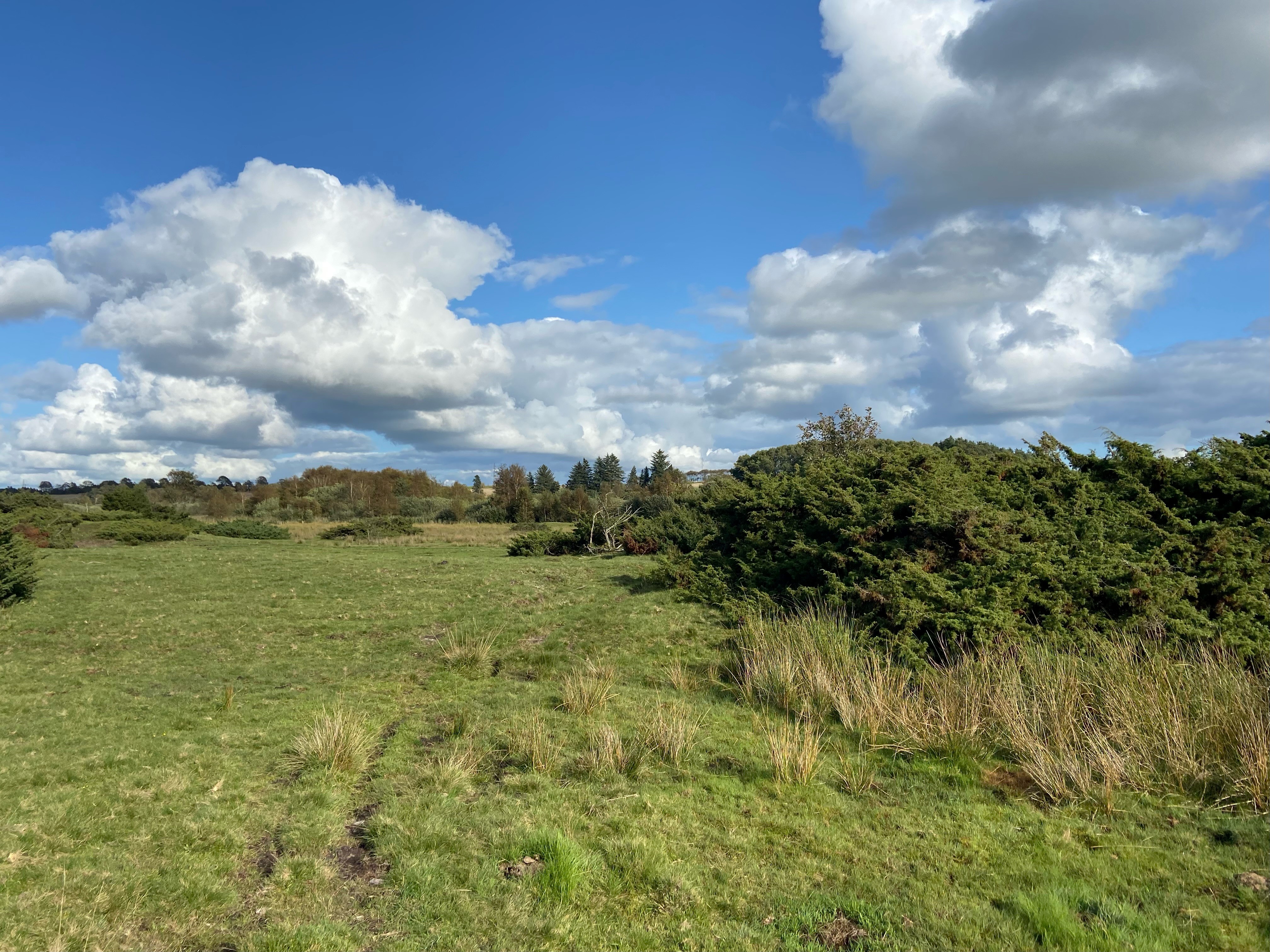 Naturvandring forening