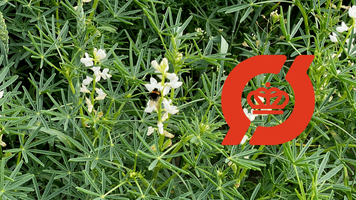 2.8.14.4 Økologisk jordbrug - Økologisk planterådgivning-1