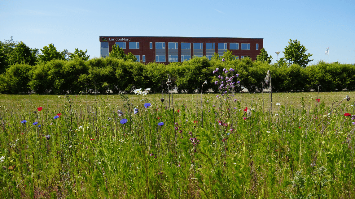 Ferielukket KBH - Hubspot Artikel topbillede 1146x644px (1)